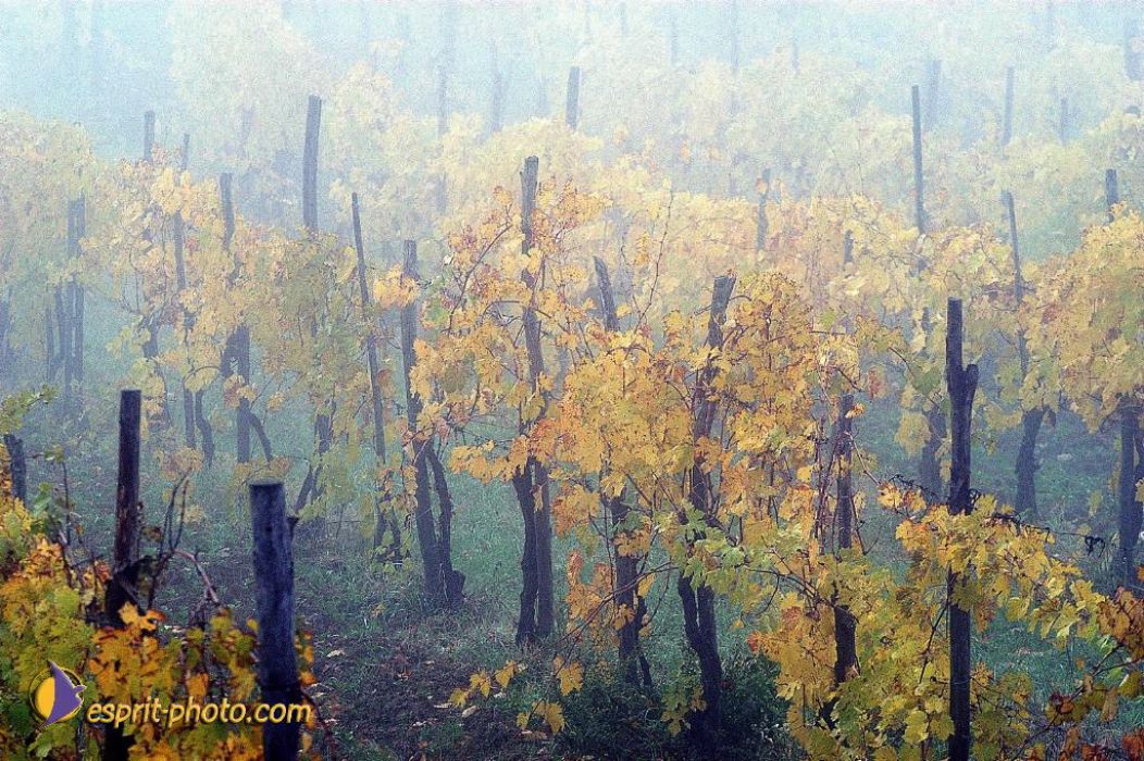 Nom de l'image : EP08-0409_(c)Norbert-JUNG — Description :